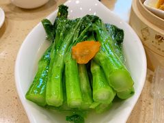 盐水白灼生菜-点都德(千灯湖环宇城店)