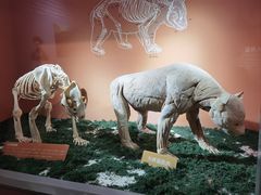 -中国大熊猫保护研究中心雅安碧峰峡基地