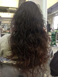 -镁连社·美联社