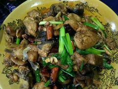 -白家寨子·山野白族菜(古城总店)