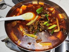 -金锅小厨(乐活街店)