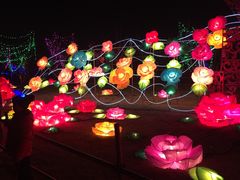 -济南国际园博园