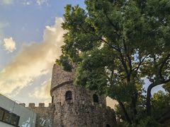 -J Create城市露营咖啡·简餐·宠物(上海动物园店)