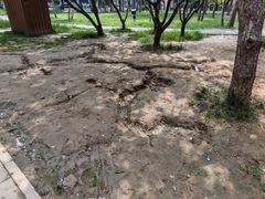 -双榆树公园