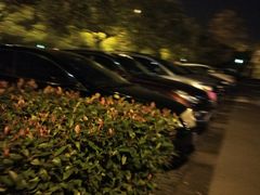 -山明水秀大饭店