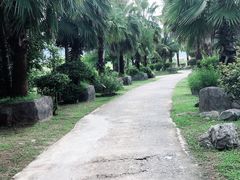 -亚龙湾国际玫瑰谷