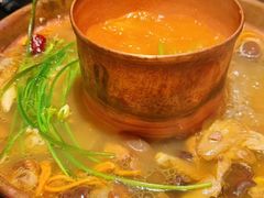 -菌自由丨野生菌火锅特色庭院餐厅(丽江古城店)