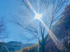 -秦岭终南山世界地质公园翠华山景区