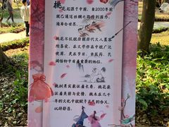 -桃花涧
