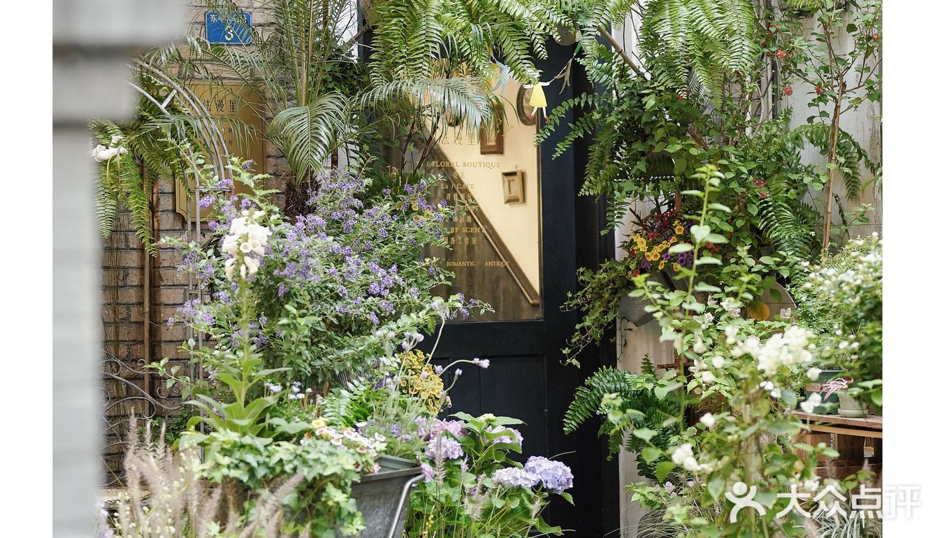 春天开在了花里花俏的地方💐