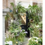 春天开在了花里花俏的地方💐