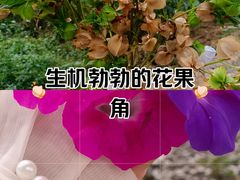 -世纪金源购物中心