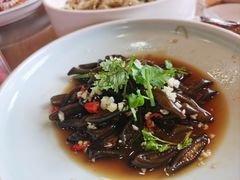 凉拌海松茸-坛南湾农家乐·海鲜楼·大排档(平潭坛南湾店)