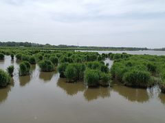 -白渔泡湿地公园