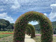 -广州市石门国家森林公园