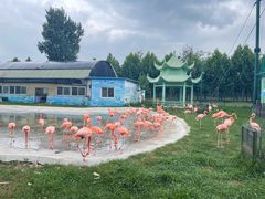 -秦皇岛野生动物园