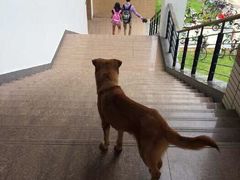 iphone_upload_pic-天幕新彩云国际影城(激光巨幕店)