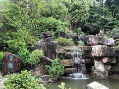 -广州神农草堂中医药博物馆