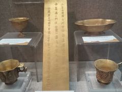 -烟台自然博物馆