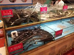 -饭怕鱼(阳光100店)
