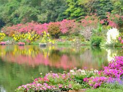 -深圳市中科院仙湖植物园