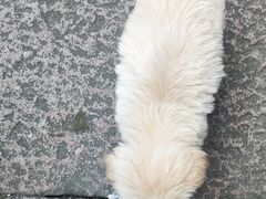 -午潮山国家森林公园