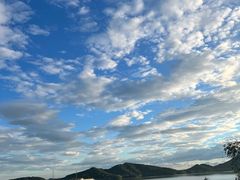 -满族八旗正宗牛肉面
