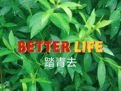 -新江湾城公园