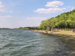 -丁香湖公园