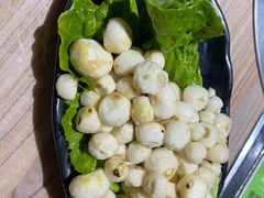 野生竹笙-探窝·竹笙椰子鸡(杨箕店)