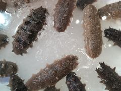 -开海·红岛海鲜虾水饺(石老人店)
