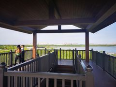 -天津东丽湖风景区