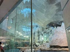 -帝企鹅自助餐厅•儿童岛•真企鹅(长隆企鹅酒店)