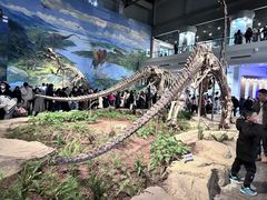 -自贡恐龙博物馆