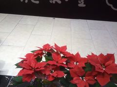 -鼎泰丰(当代商城店)