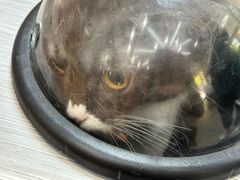 -联合动物医院(光谷诊疗中心)