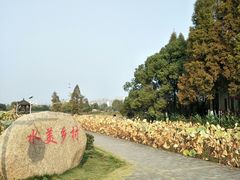 -东山香樟园