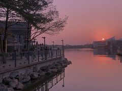 -陈鹏鹏潮汕菜(欢乐海岸 海边景观店)
