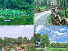 -虎丘山风景名胜区