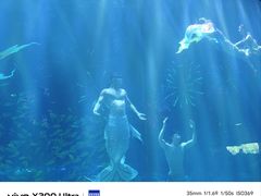 -华夏文旅海洋公园