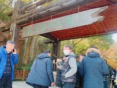 -天目湖山水园