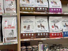 -中农大我爱我爱24h动物医院·中医针灸·猫专科·骨科医疗中心(双井店)