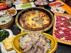 -一斗火锅·招财羊毛肚(北温泉九号店)