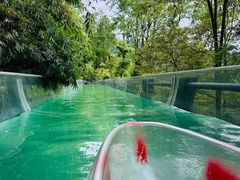 -花水湾第一村温泉大酒店