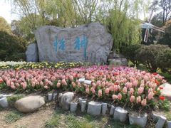 -上海鲜花港