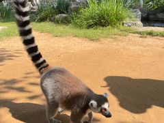 -秦皇岛野生动物园