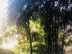 -船政文化景区-罗星塔公园