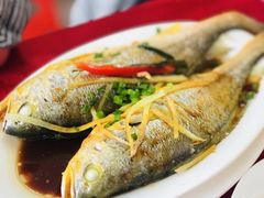 -蛇口康乐快餐鱼仔档(翠苑小区店)