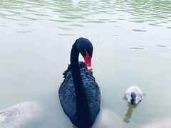 -鄱阳湖国家湿地公园