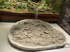 -辽宁古生物博物馆
